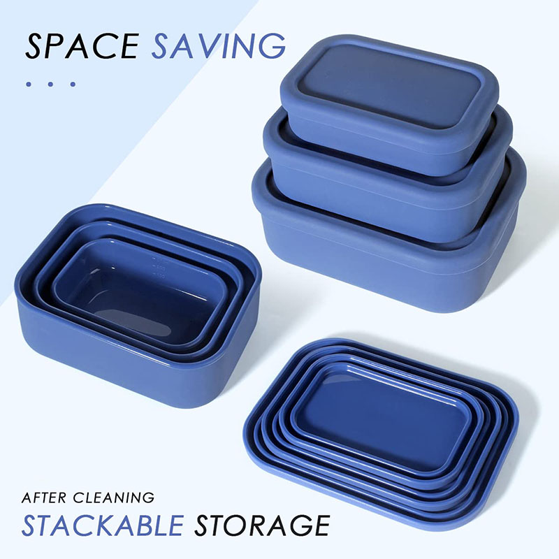 Leak-Resistant Bento Lunch Box - Meal Prep Recipes recension och pris