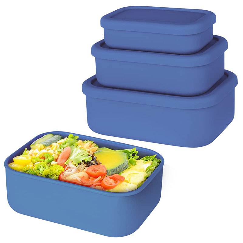 Leak-Resistant Bento Lunch Box - Meal Prep Recipes recension och pris