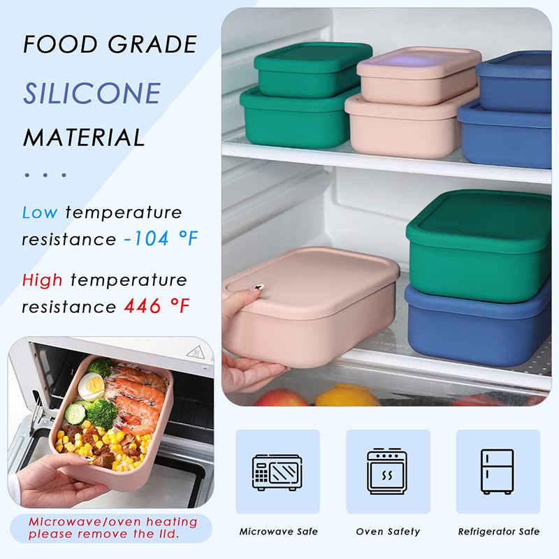 Leak-Resistant Bento Lunch Box - Meal Prep Recipes recension och pris